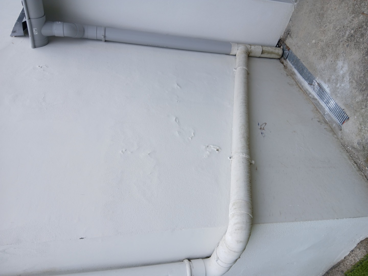 Phénomène de cloque sur un enduit organique mise en oeuvre sur un mur en pierre :